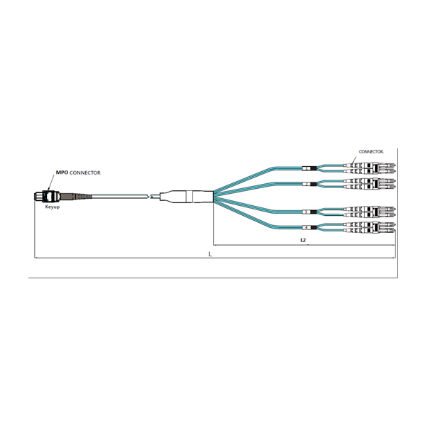 MPO/MTP Breakout Cable